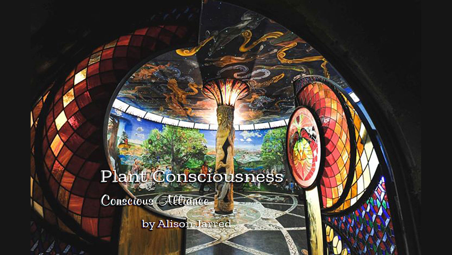 Plant Consciousness